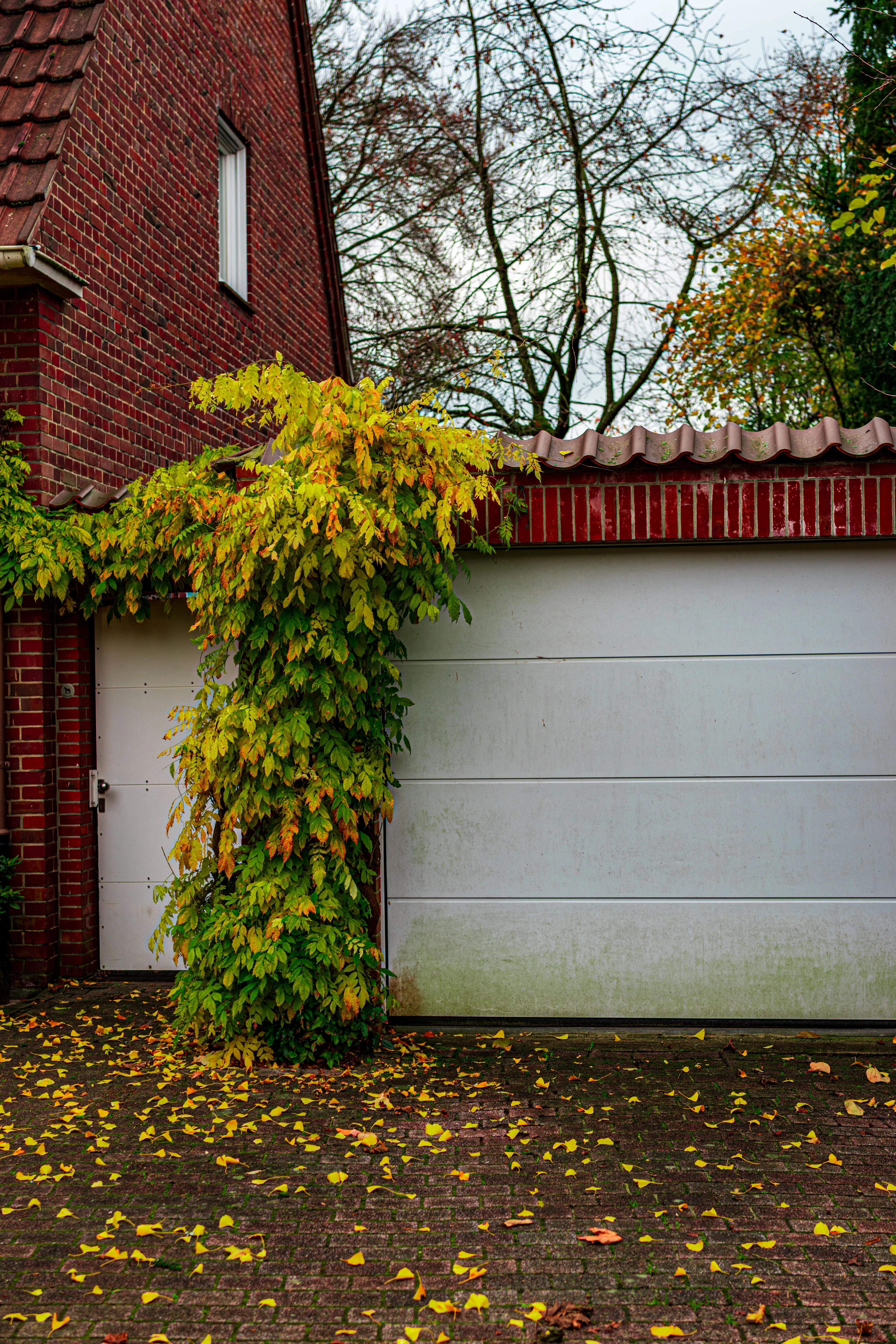 Residential garage door in Punta Gorda